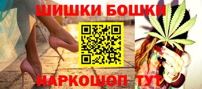 шишки Партизанск