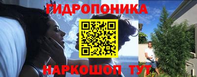 шишки Партизанск
