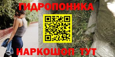 шишки Партизанск