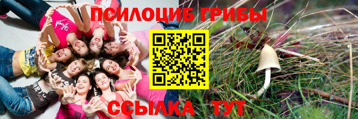 Сосновоборск  Галлюциногенные грибы GOLDEN TEACHER  Псилоцибиновые грибы Psilocybine cubensis  Вход с VPN 